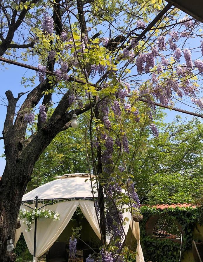 Lux Garden Home D Kumanovo Exterior foto